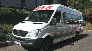 DLS