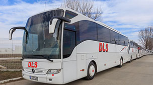 DLS
